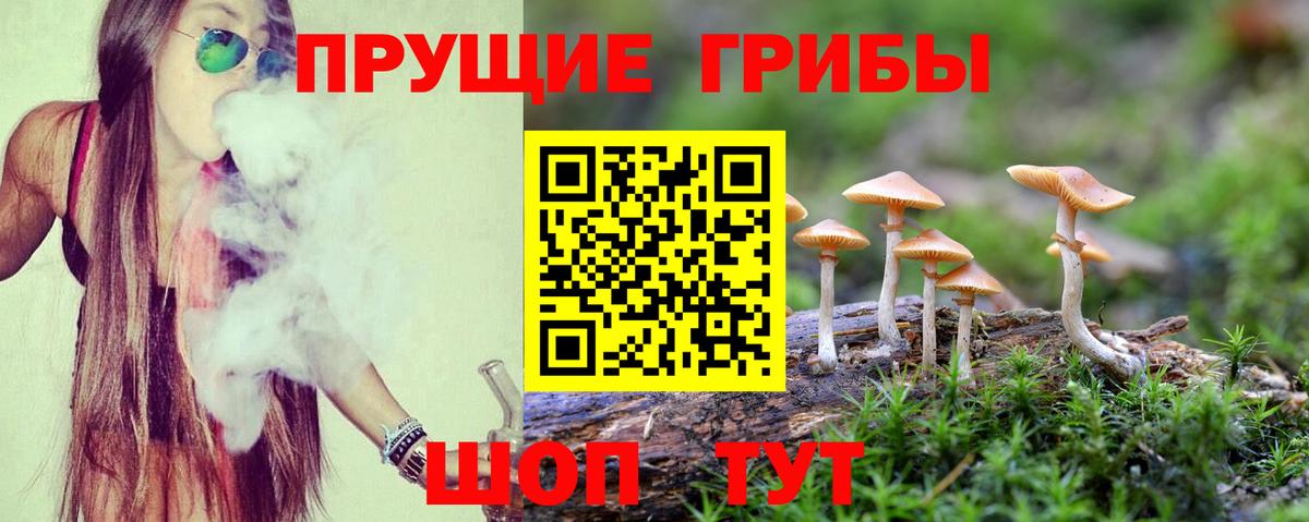 Семилуки  Псилоцибиновые грибы Magic Shrooms  Вход с VPN  Псилоцибиновые грибы MAGIC MUSHROOMS 