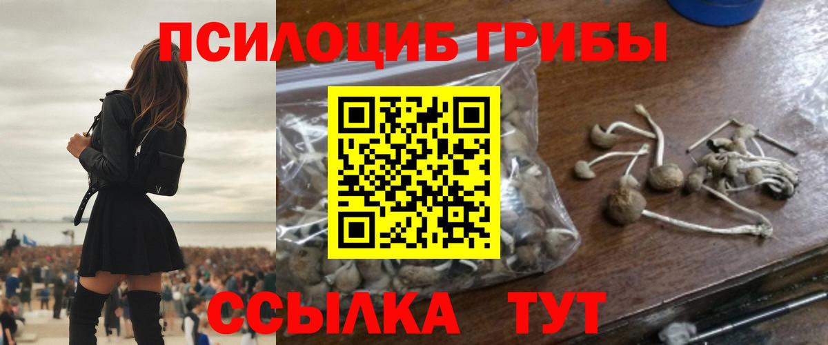 Галлюциногенные грибы Psilocybe Семилуки
